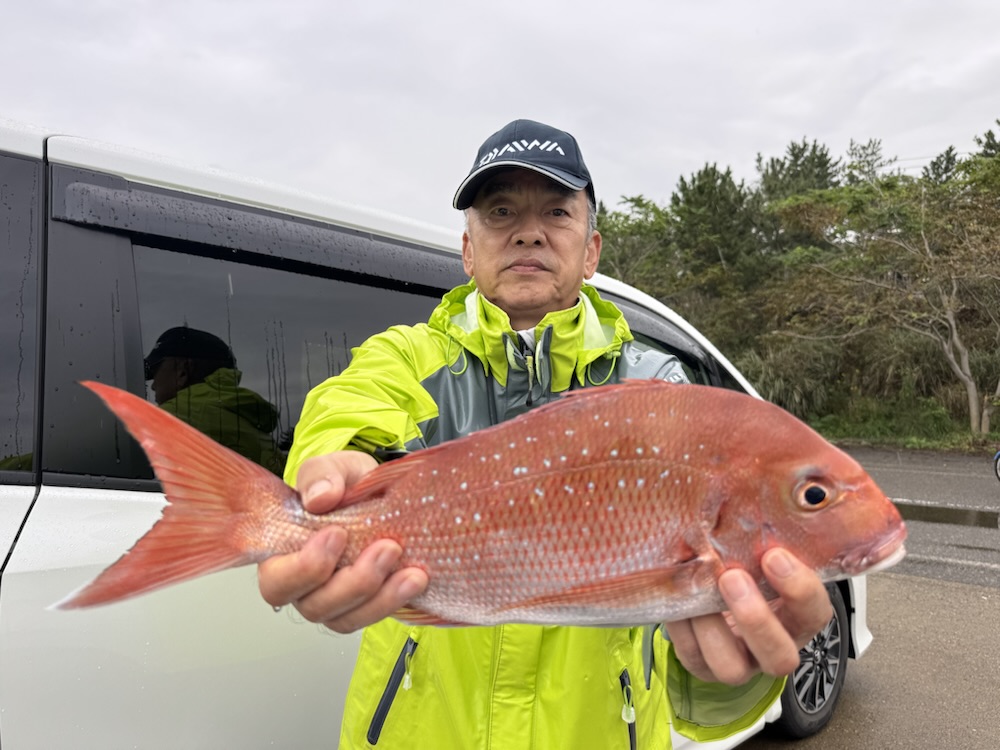 点を釣るスピード釣法: ヤマベ(ハエ) ★送料込価格★ ホリデーハエヤマベ仕掛 | 株式会社オーナーばり｜海釣り仕掛け、投げ